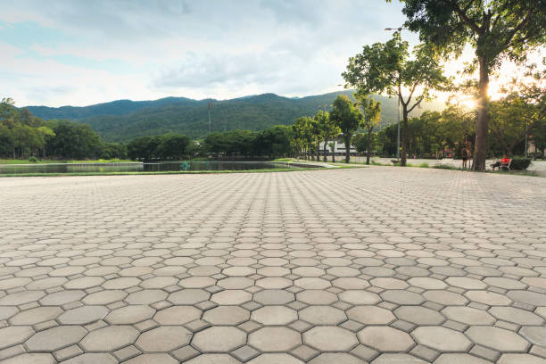 Best Driveway Paver Repair  in Cottonwood, AL