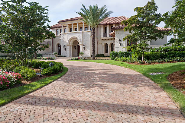 Best Driveway Paving Contractor  in Cottonwood, AL